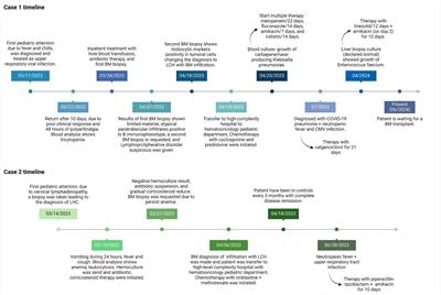 Langerhans cell histiocytosis: unusual bone marrow infiltration—report of 2 cases in Ecuador